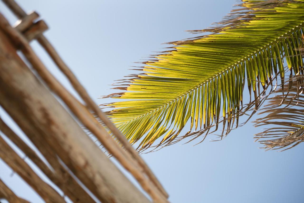 Casa Hayhu Hotel Mahahual Eksteriør billede